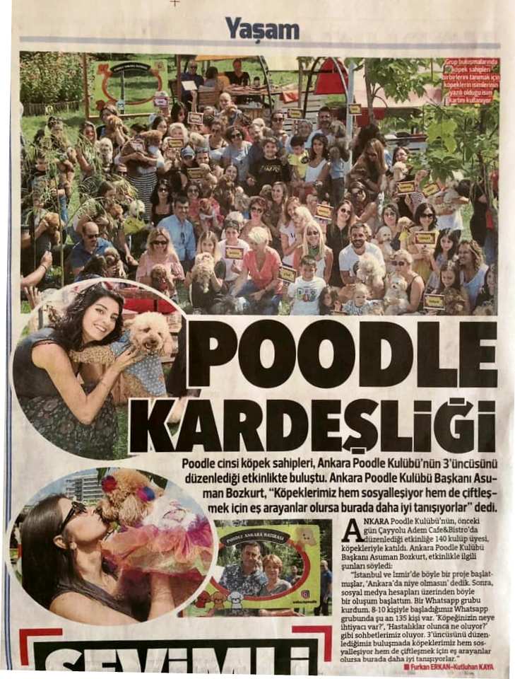 Poodle Kardeşliği