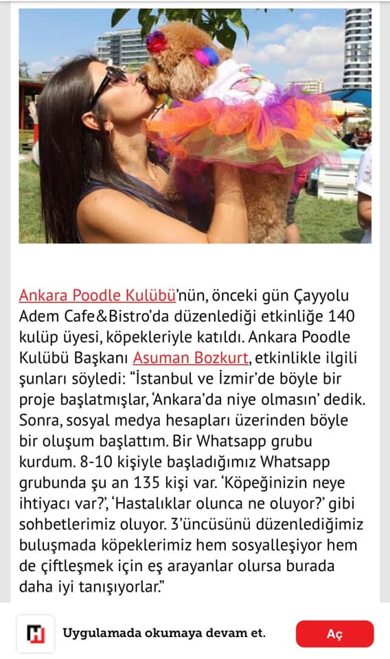 Ankara Poodle Kulübü